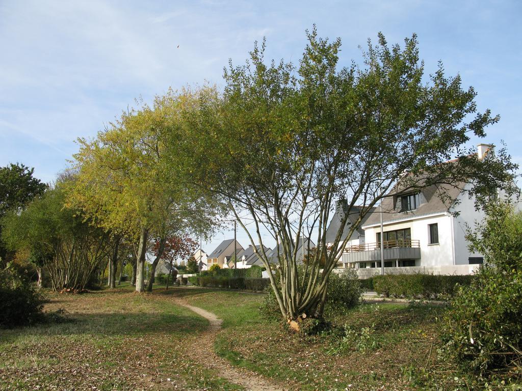Apartment Pecheur *